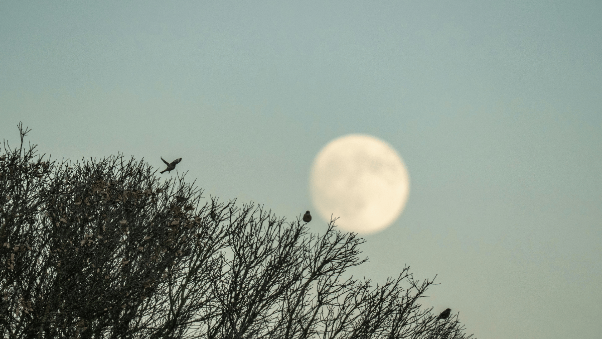 Qual a fase da Lua hoje? 26/08/2026
