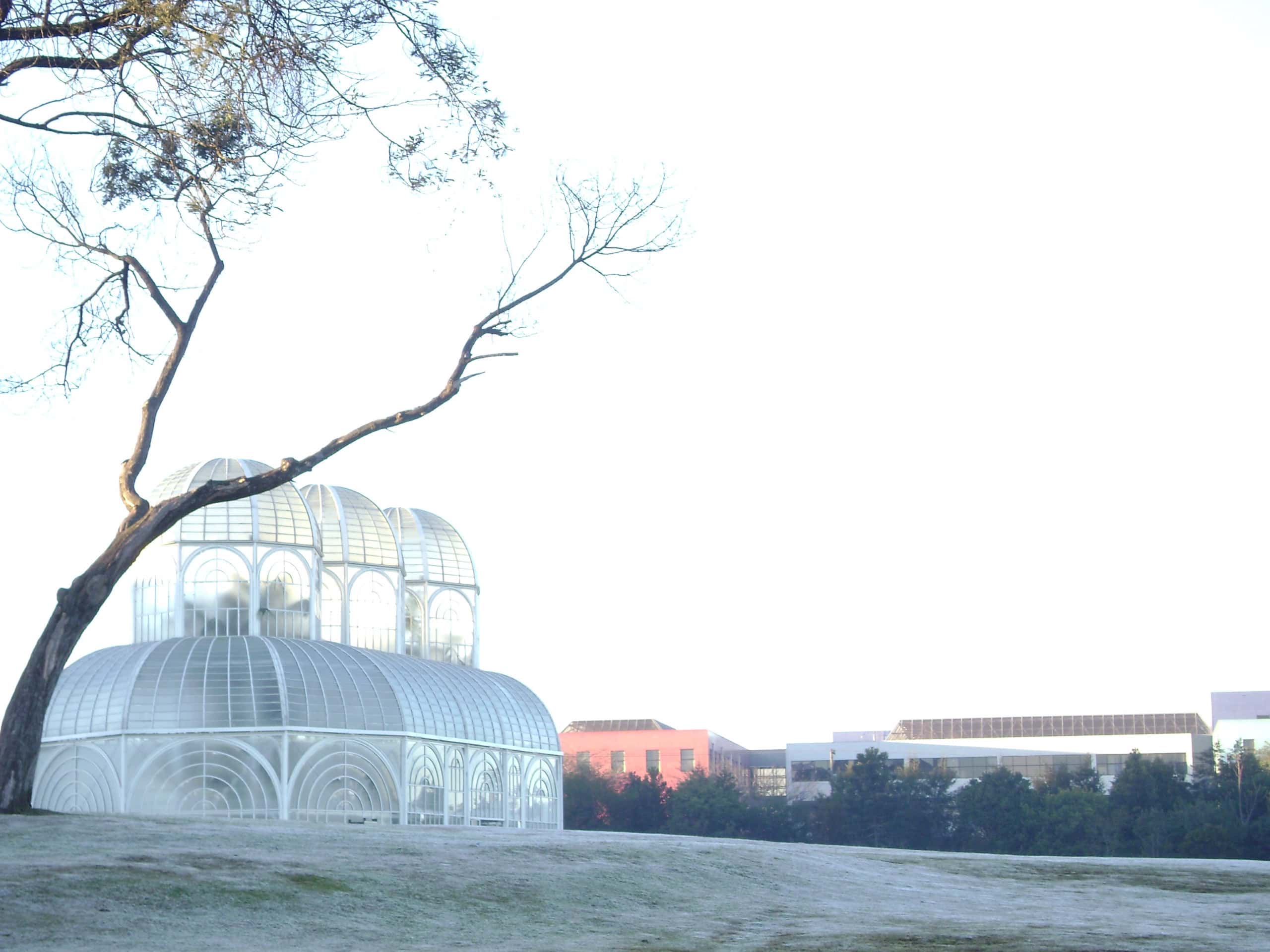 Hoje é o dia mais curto do ano: entenda o solstício de inverno