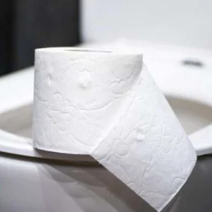 Entenda por que no Brasil não pode jogar papel no vaso sanitário
