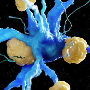 Composto à base de cobre reduz proteína do Alzheimer e melhora memória