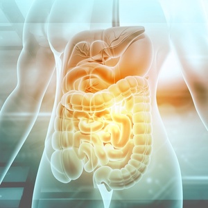 O que comer para turbinar a saúde do intestino