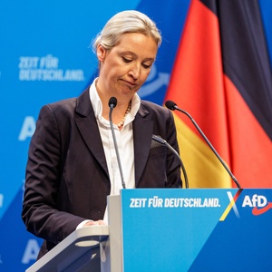 Vazamento de 420 mil emails expõe dados e vícios da AfD na Alemanha
