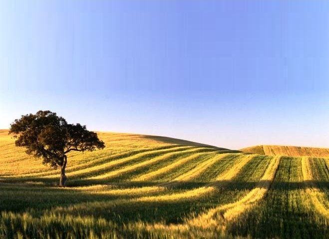 Alentejo 2030 investe 22,4 milhões de euros para expandir redes de internet de elevada capacidade