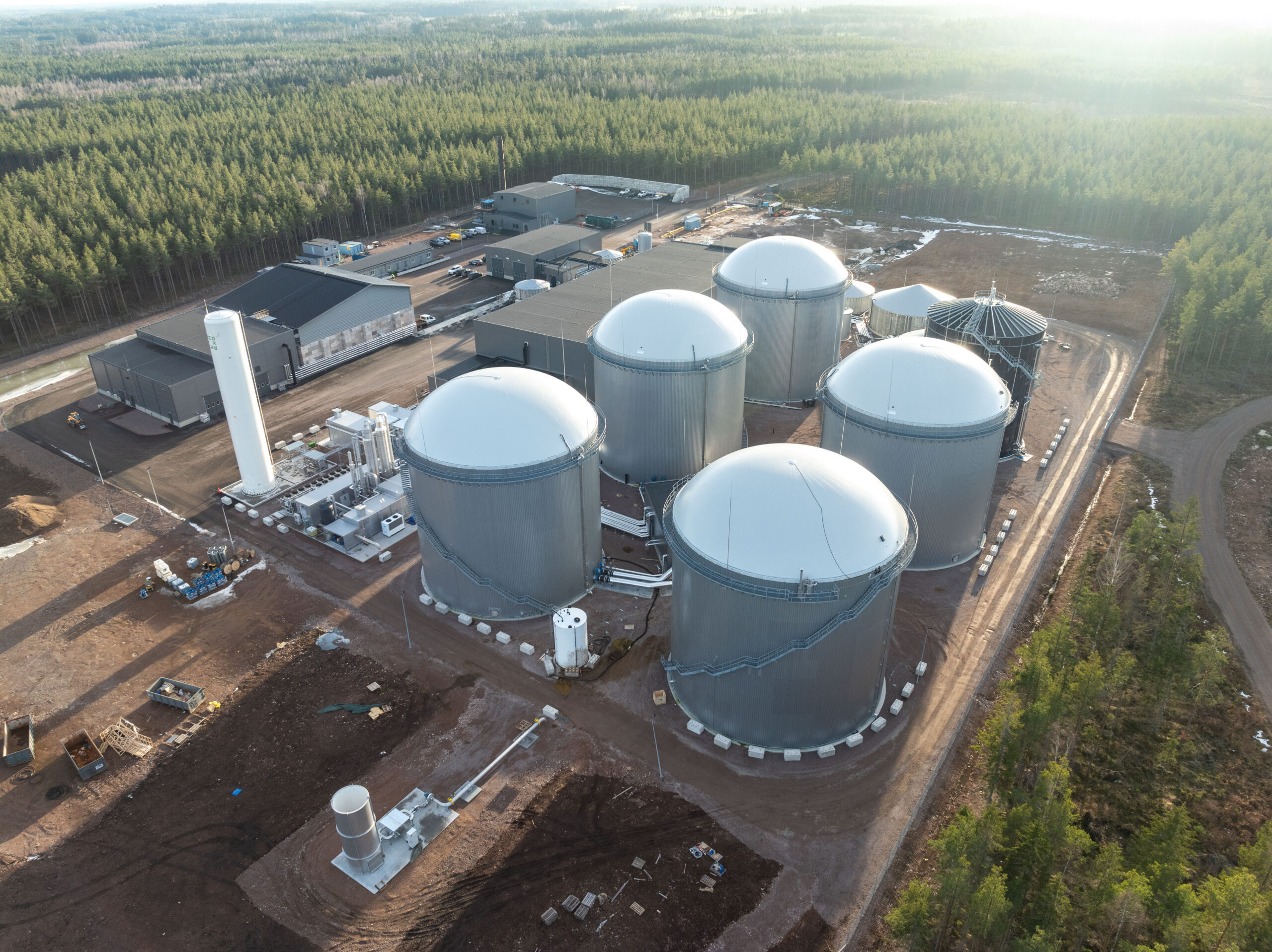 Associação Portuguesa de Produtores de Bioenergia reforça setor com quatro novos associados
