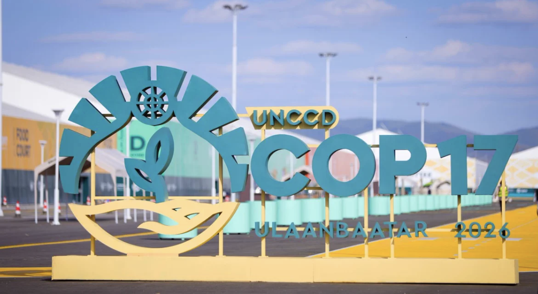 COP17 termina sem acordo sobre a seca; ZERO apela a Portugal para não esperar pelo consenso internacional