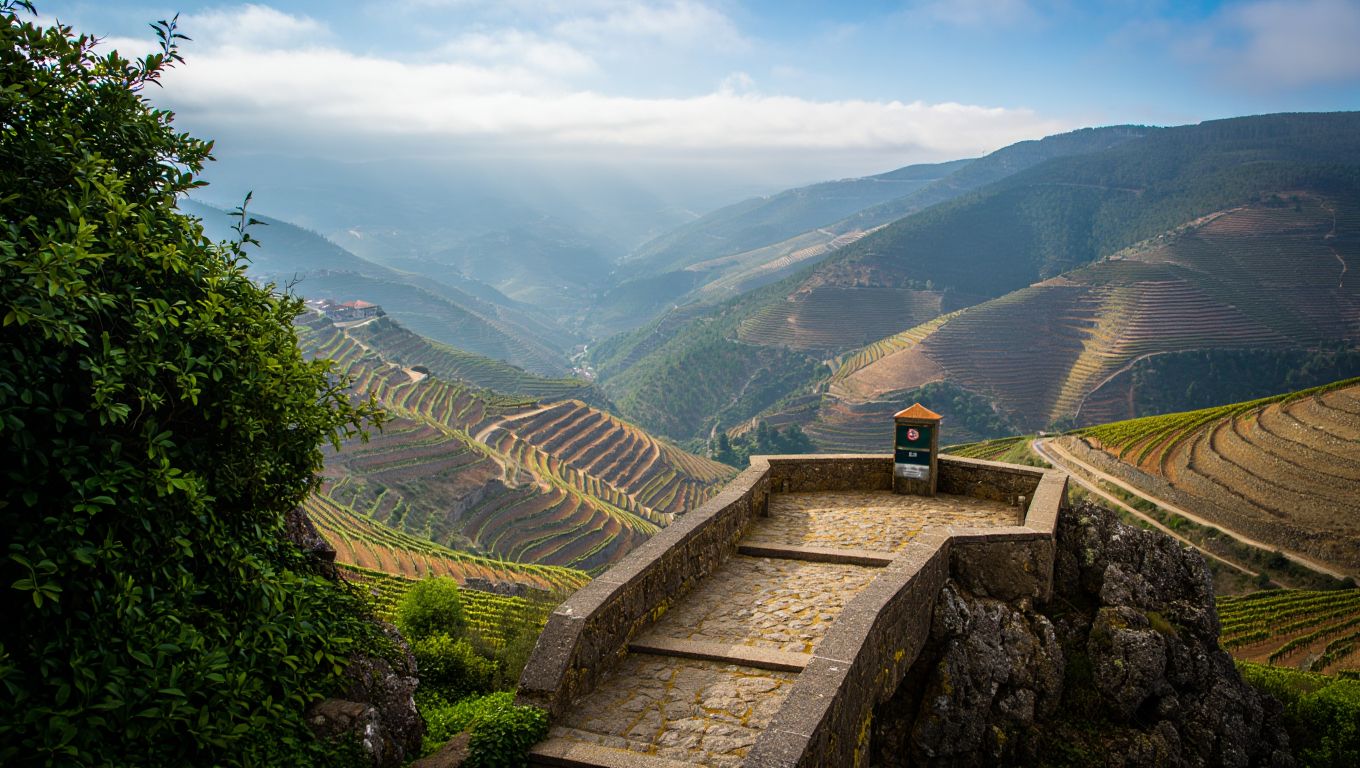 Este miradouro do Douro tem talvez a melhor vista do país e o acesso é totalmente gratuito