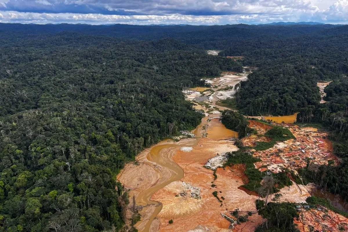 Garimpo na mira de nova classificação