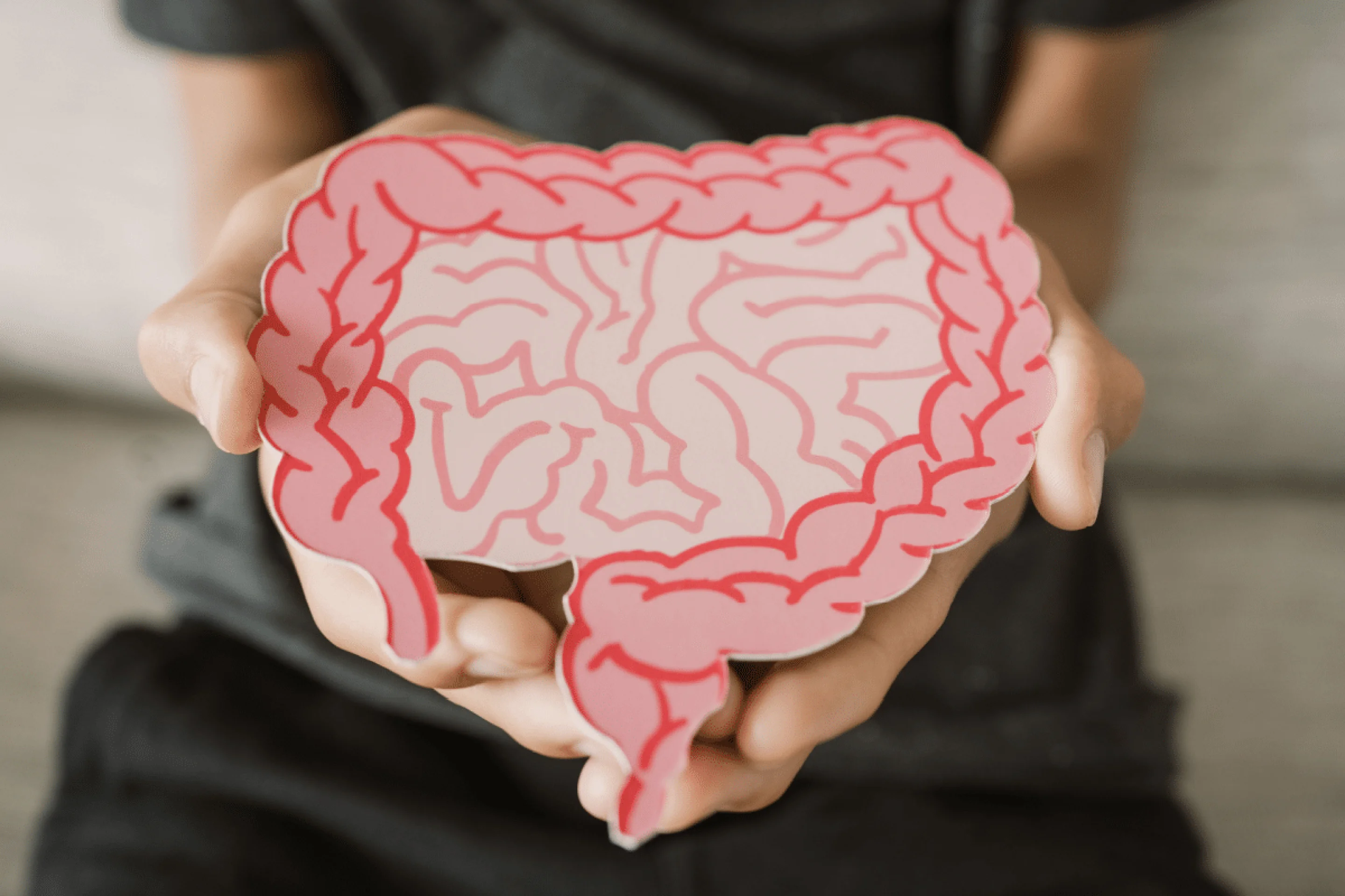 Inchaço, fadiga e intestino preso: a culpa é mesmo da disbiose?