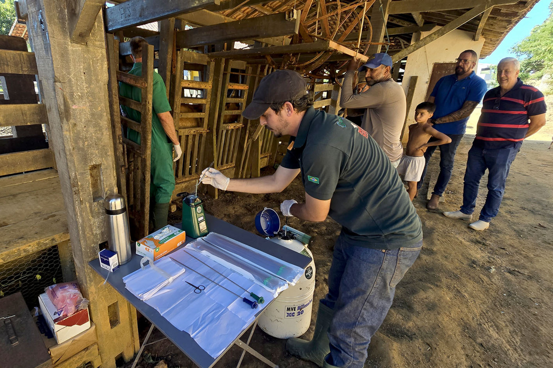 Tecnologia chega ao campo e Macaé revoluciona a pecuária com programa que já beneficiou mais de 6 mil matrizes bovinas