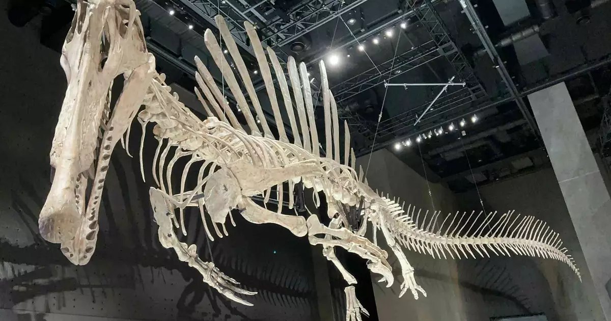 Redescoberta de fóssil revela detalhes sobre o lendário tubarão gigante "Megalodon"