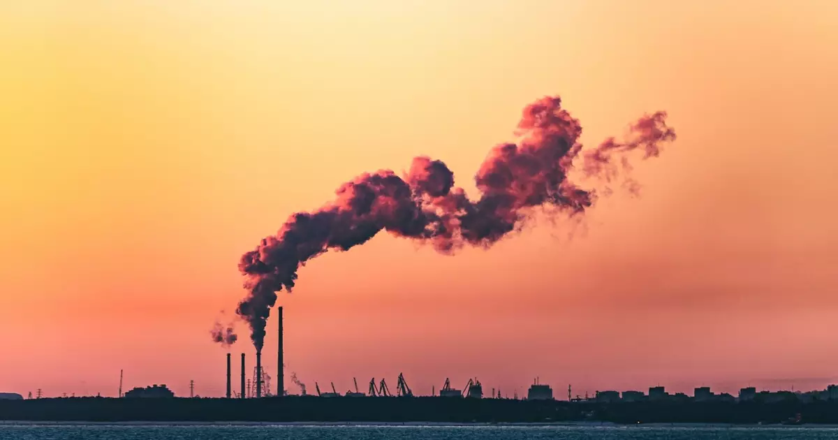 Como reduzir a pegada de carbono no dia a dia com atitudes simples