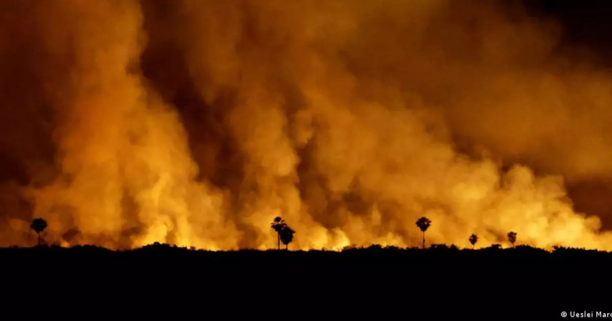 O que diferencia os incêndios florestais do Brasil e da Europa