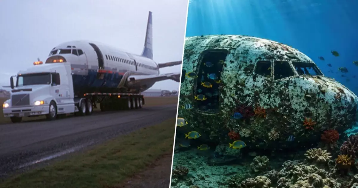 Em 2006, um grupo ambientalista afundou um Boeing 737 no fundo do mar; hoje, ele é um enorme recife de coral