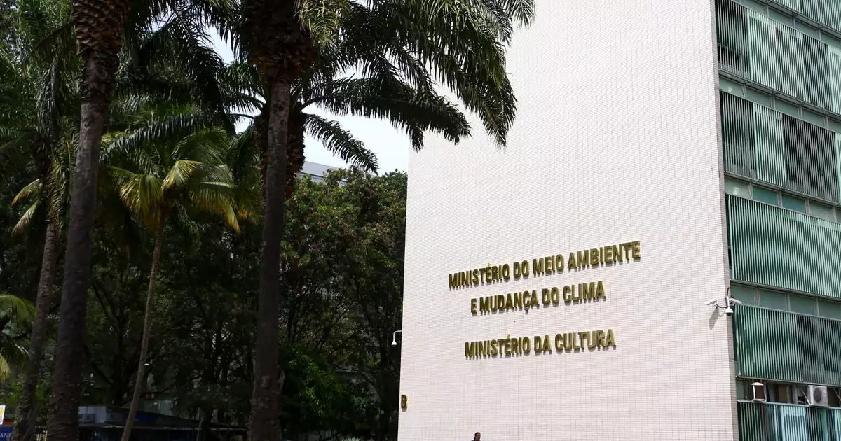Candidatos a presidente não tratam a cultura como suporte para o desenvolvimento, dizem especialistas