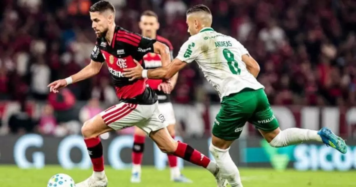 Sem margem de erro. Flamengo e Palmeiras acirram briga pelo título