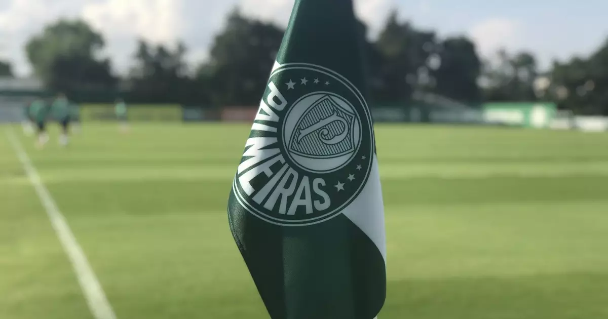 Vídeo: Dirigente do Palmeiras detona arbitragem em empate com o Botafogo