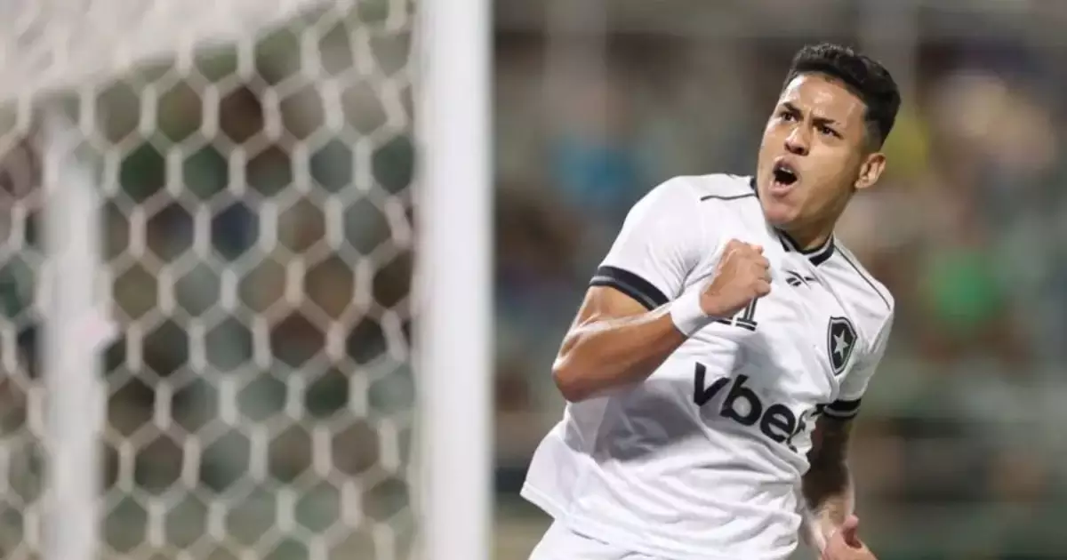 Danilo Santos, Montoro, Arthur Cabral, Alex Telles, Matheus Martins, Medina, Mateo Ponte, Ferraresi, Neto e Barboza: os jogadores do Botafogo com mais minutos jogados na Sul