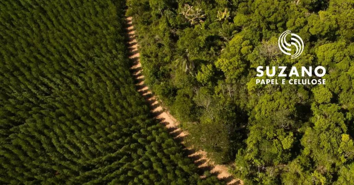 Suzano (SUZB3) quer reduzir dívida a US$ 11 bilhões e prevê dividendo mínimo; entenda o plano