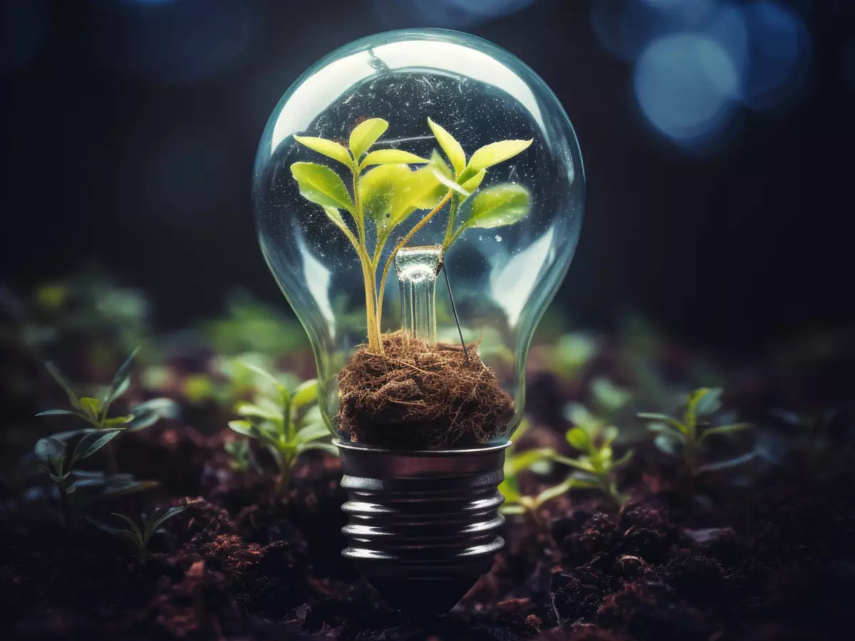 Projeto Conexões em Teias traz inovação ao MIT Energy Summit