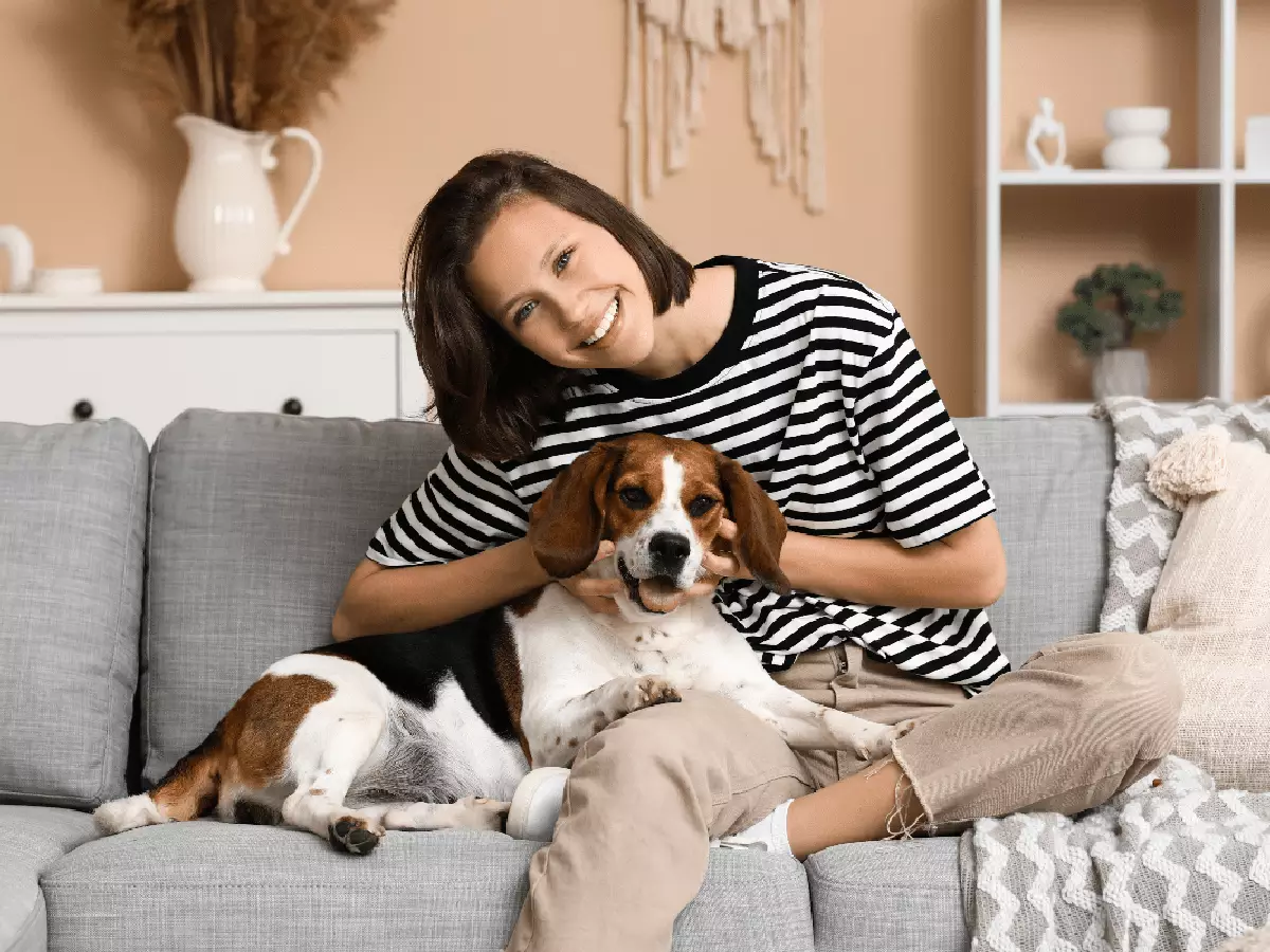 Seu cachorro realmente gosta de ser tratado como filho? 5 sinais de quando o vínculo pode ir longe demais