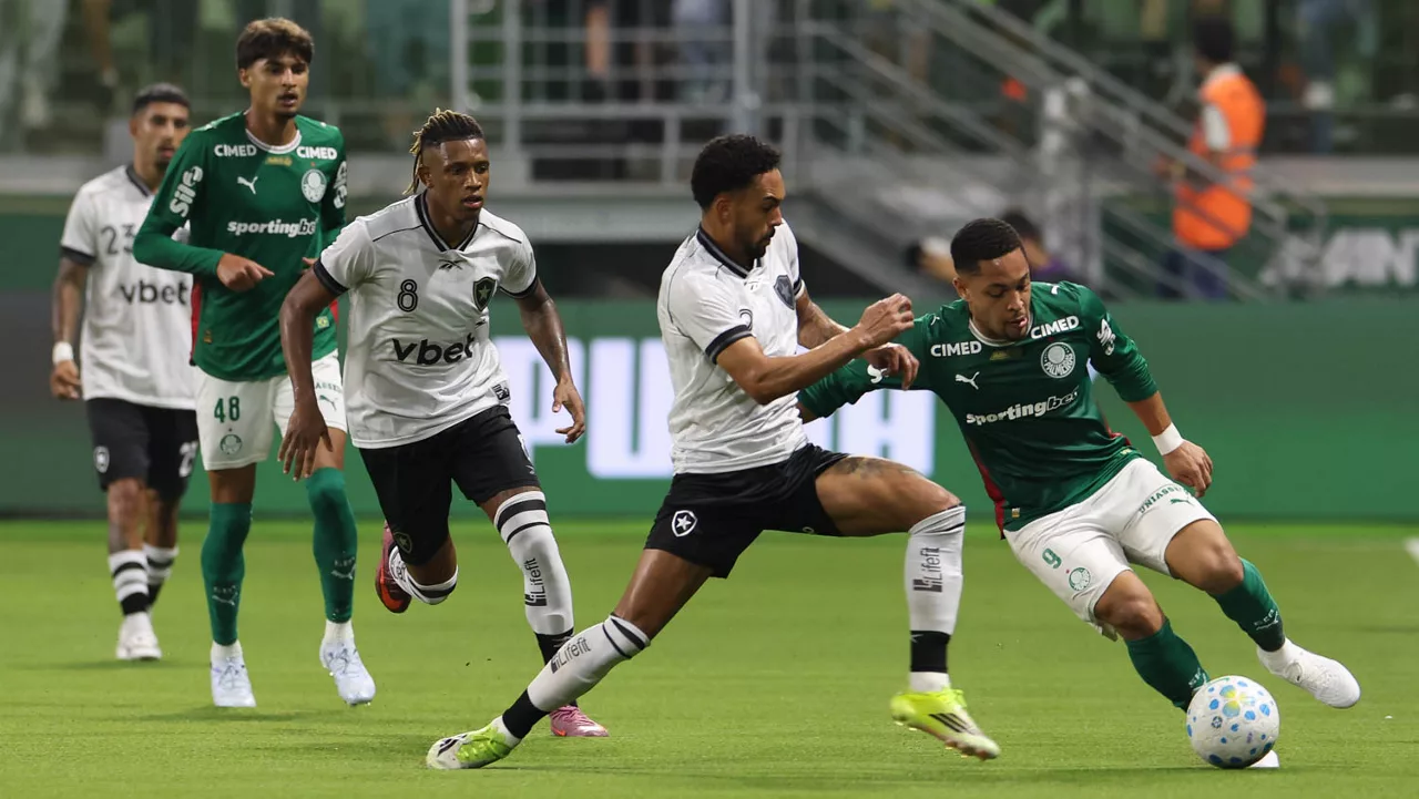 Palmeiras x Botafogo: Verdão tenta retomar vantagem diante o Flamengo jogando fora