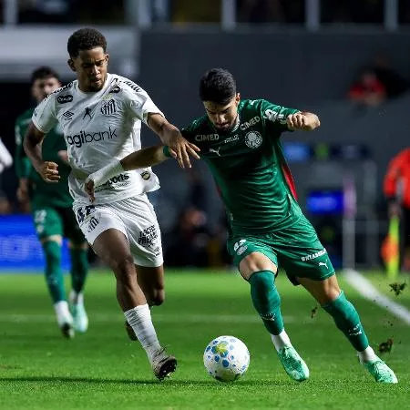 Classificação do Brasileirão: Palmeiras empata com o Santos e agora seca o Flamengo