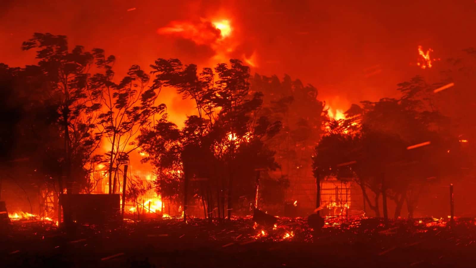 Nova solução da Grécia para combater incêndios poderia servir de inspiração para Portugal