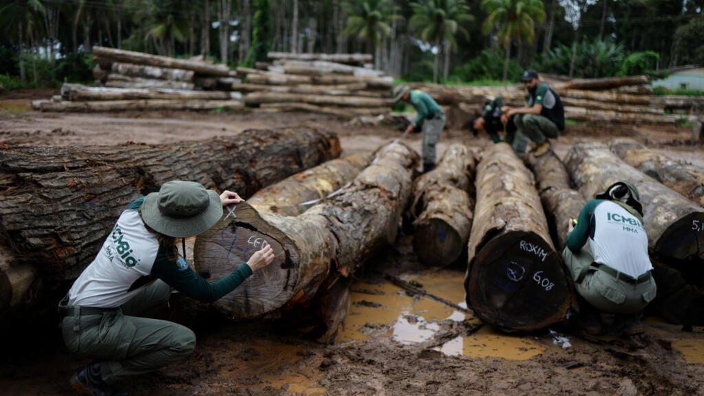 Biodiversidade: ONU vê avanço histórico na restauração de ecossistemas, mas cobra aceleração dos esforços