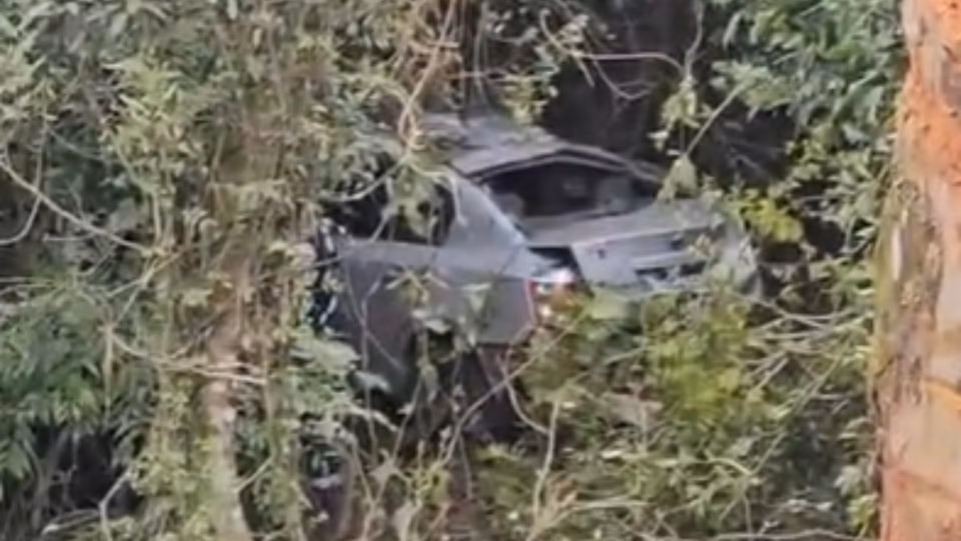 Jovem de 20 anos morre em acidente após carro sair da pista na BR