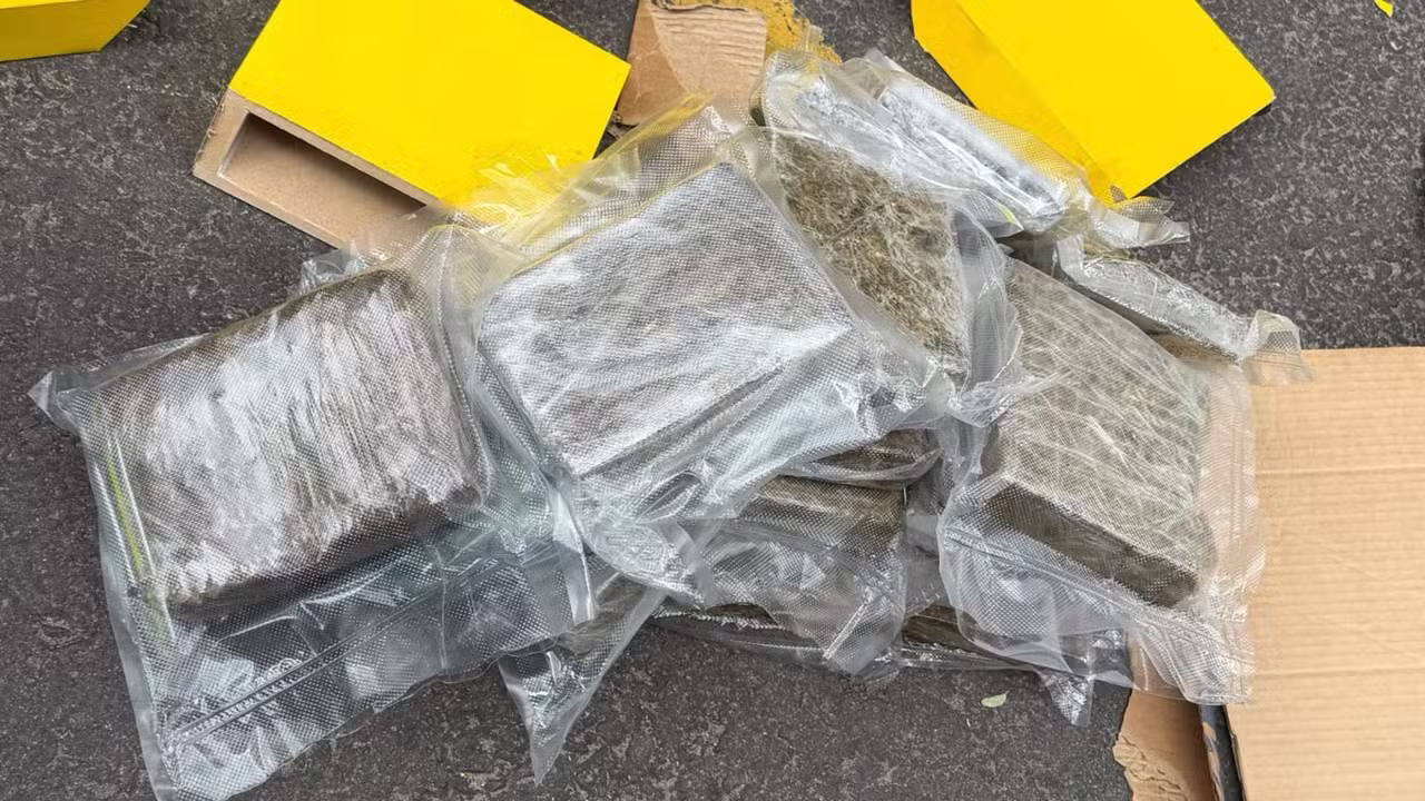 Mais de 55 kg de maconha tipo skunk são encontrados escondidos em nichos de MDF em Manaus