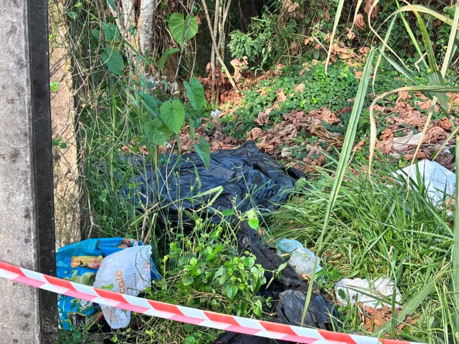 Morador acha bolsa com partes de corpo em Rio Branco