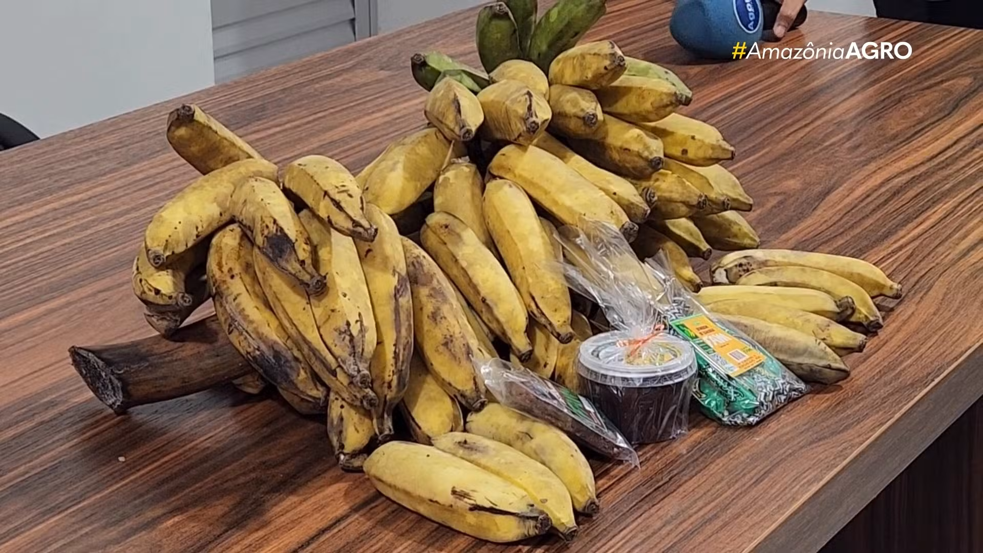 VÍDEOS: Amazônia Agro