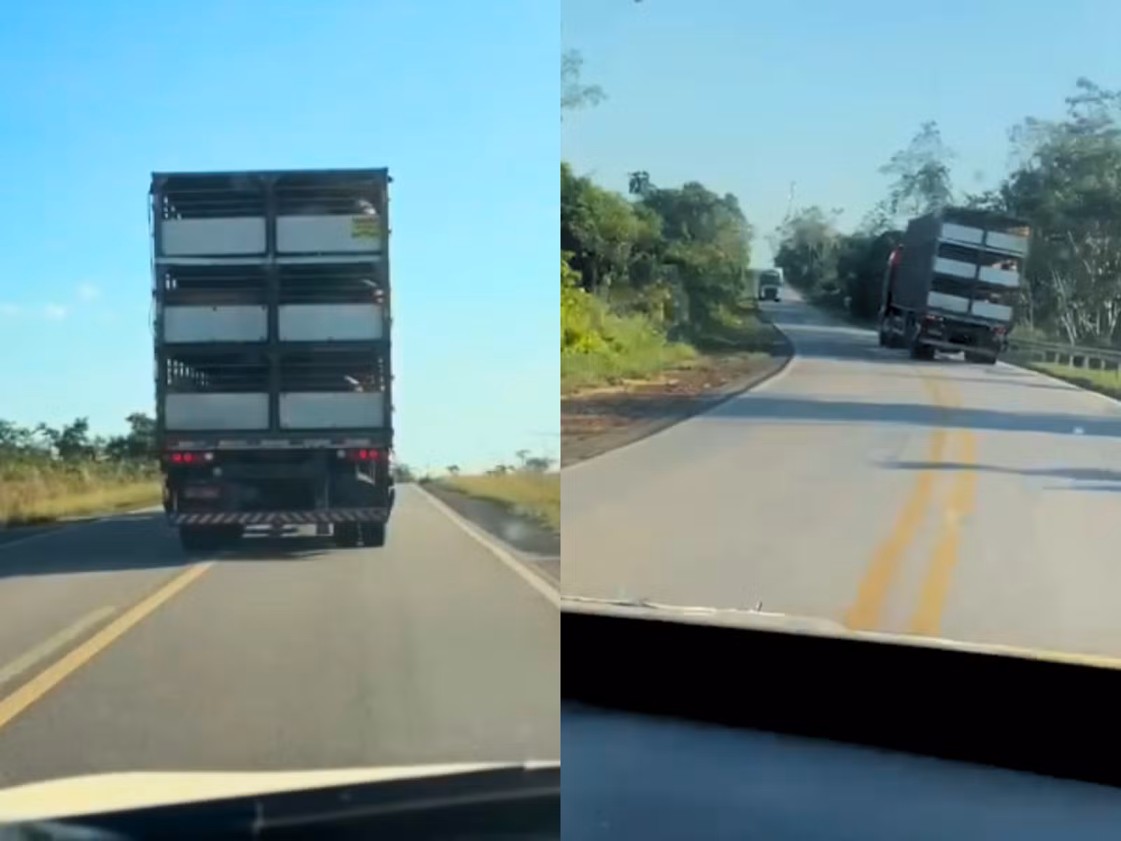 VÍDEO: Caminhoneiro é preso pela PRF após dirigir embriagado em zigue