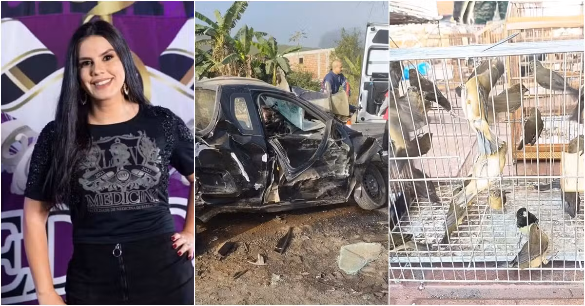 Você viu? Estudante de medicina morta a facadas, operação apreende 150 aves silvestres e homem morre a caminho do trabalho na BR