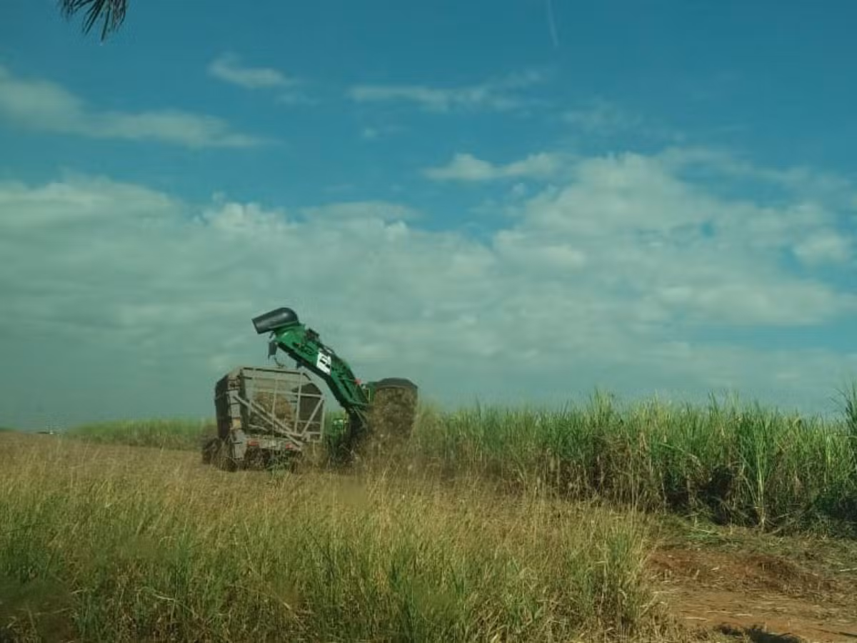 Biocombustível: chuvas atípicas impulsionam preços do etanol mesmo com estoque robusto no mercado paulista, analisa USP