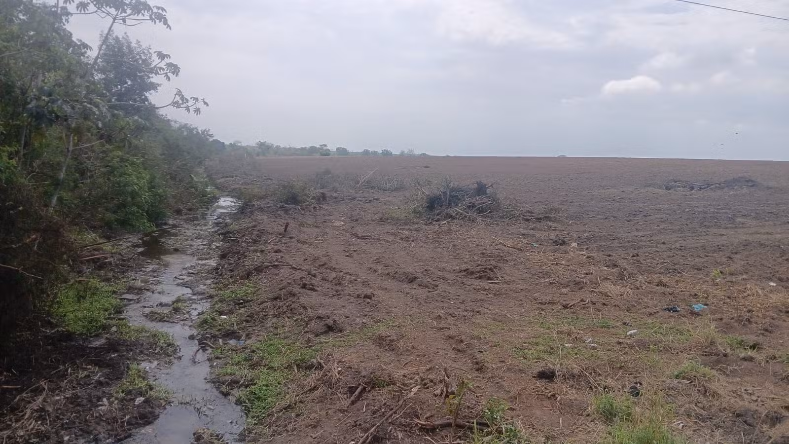 Área equivalente a mais de 14 campos de futebol é encontrada degradada em Campos, após denúncia ao Linha Verde