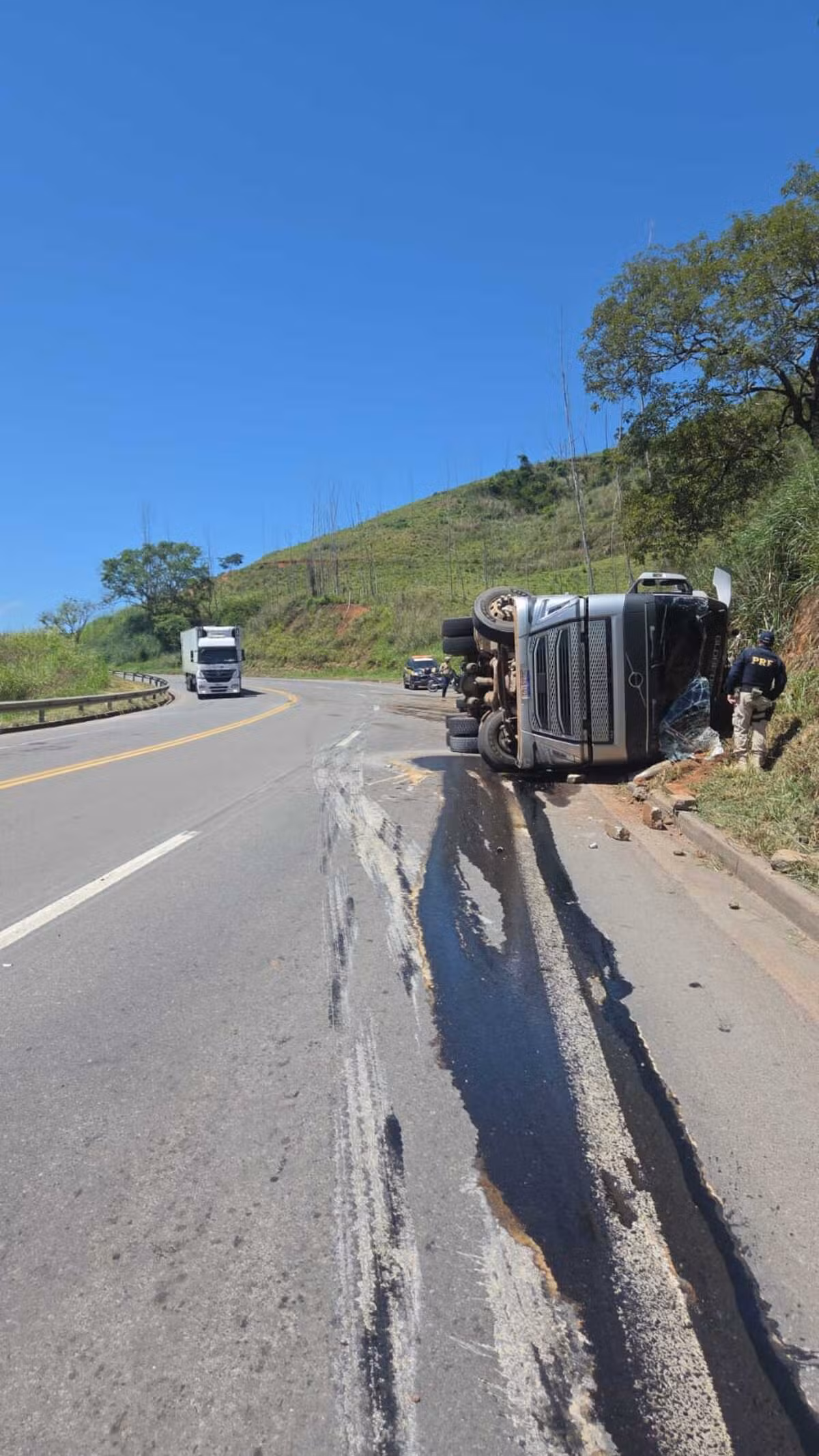 Carreta carregada com bovinos tomba na BR