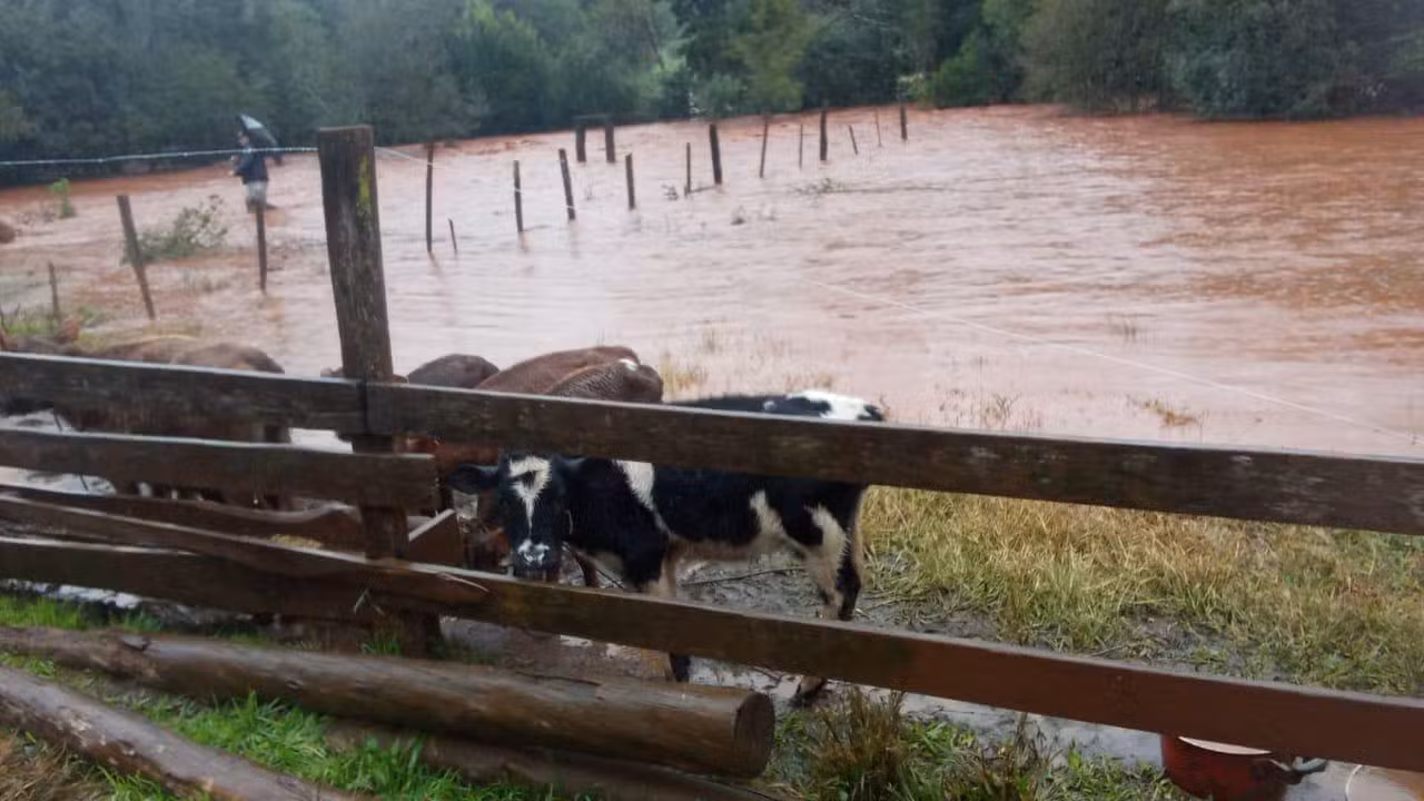 Chuva de quase 200mm cancela aulas, eleva nível de rios e deixa estragos no RS