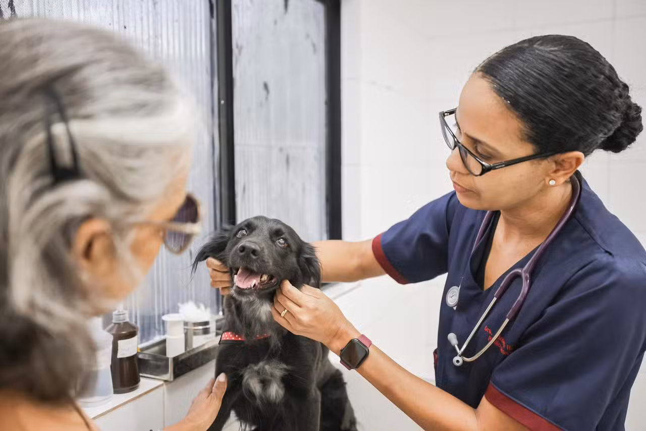 Consultório móvel oferece atendimento veterinário gratuito para cães e gatos em Campo Grande