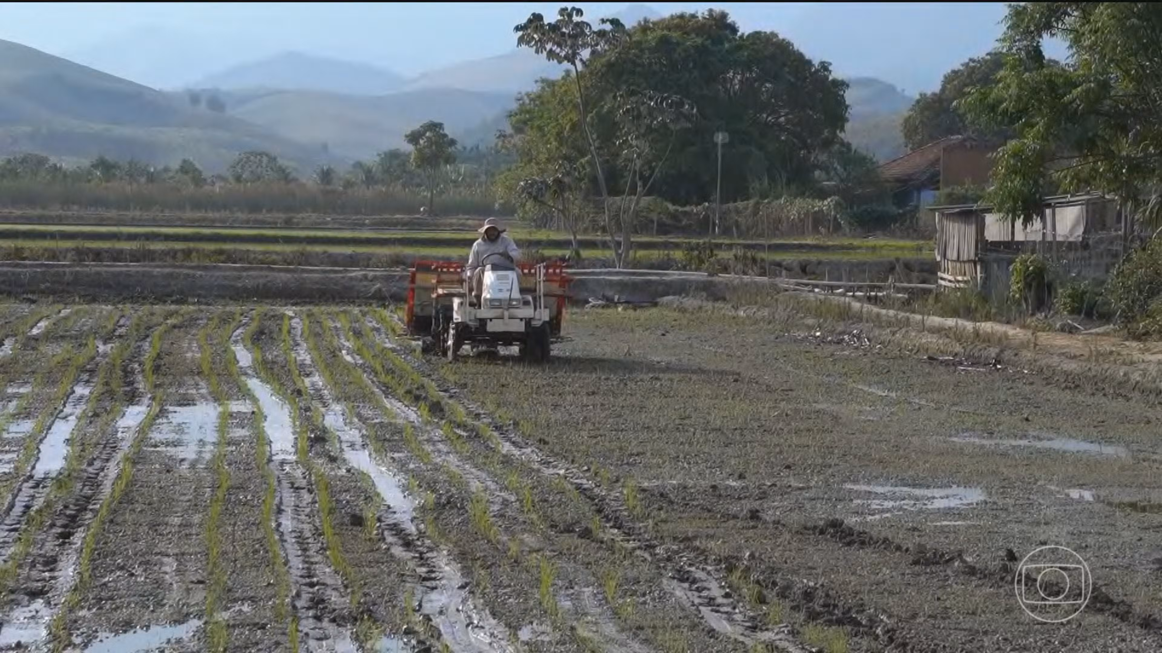 Agro brasileiro estima em mais de 36% o impacto do novo tarifaço de Trump; governo fala em manter diálogo e negociação