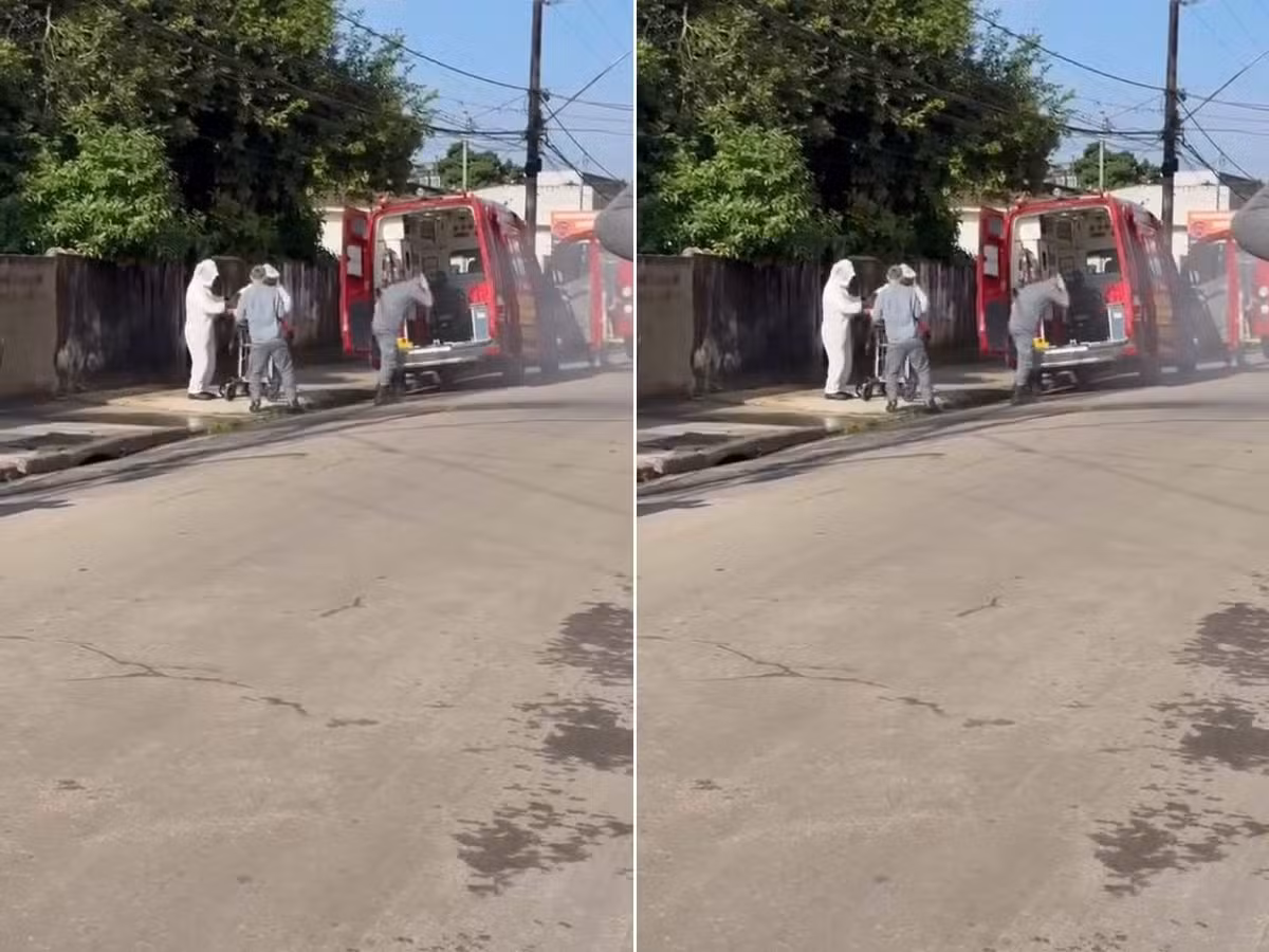 Homem fica inconsciente após ser atacado por enxame de abelhas no litoral de SP