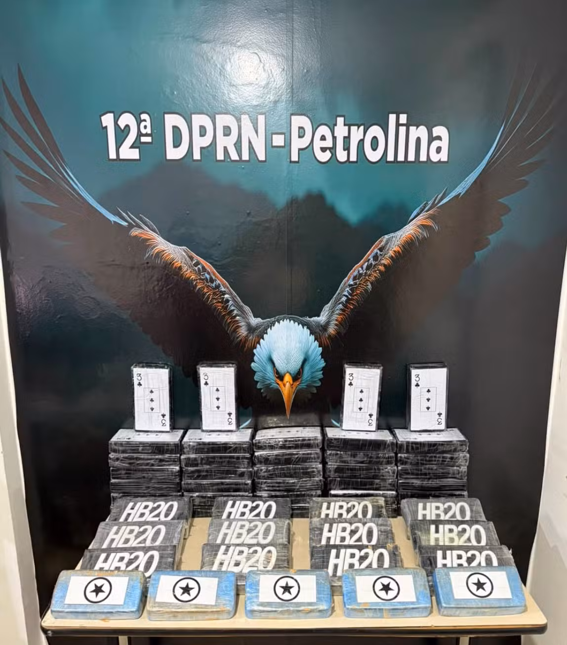 Polícia Civil apreende 53 kg de cocaína e crack em operação contra o tráfico em Petrolina