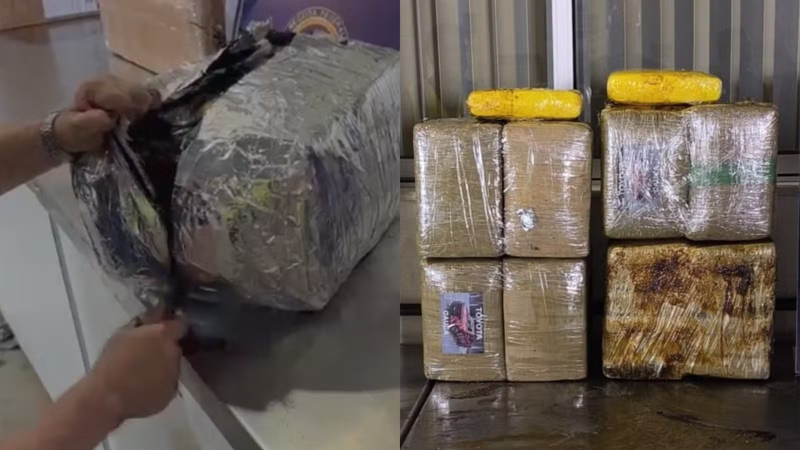 Receita Federal apreende 60 kg de skunk em pacotes com café, óleo e outros materiais em Fortaleza