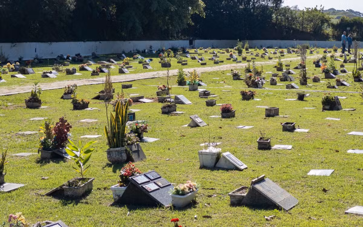 Sepultamento de cães e gatos amplia demanda por jazigos