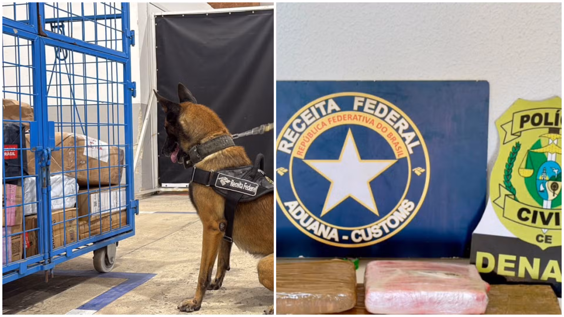 Polícia apreende 6kg de skunk em encomenda enviada do RJ para Fortaleza