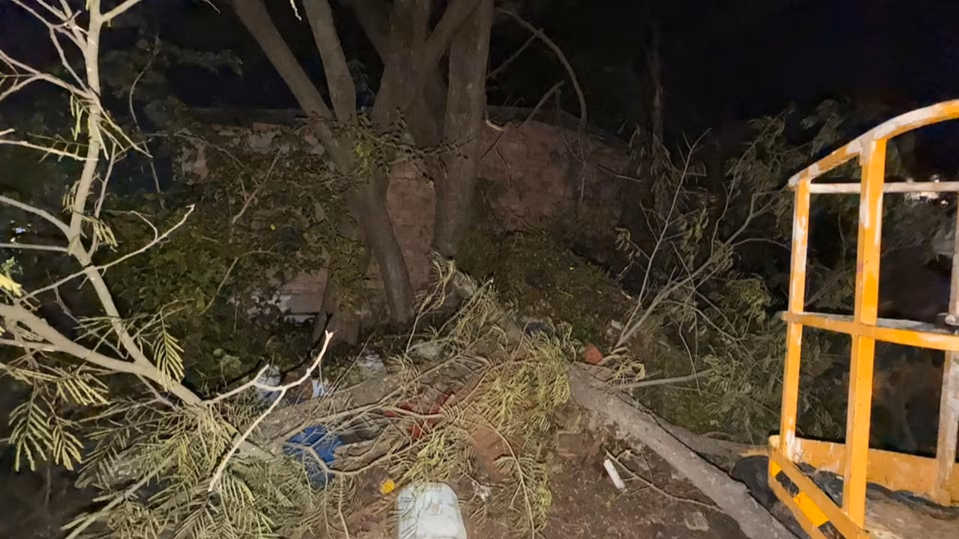 Vento derruba árvore sobre casa em Uruguaiana; prefeitura prepara plano contra temporal