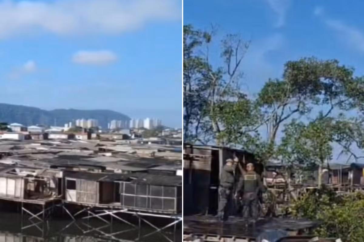 Polícia Ambiental demole construção irregular em área de manguezal no litoral de SP