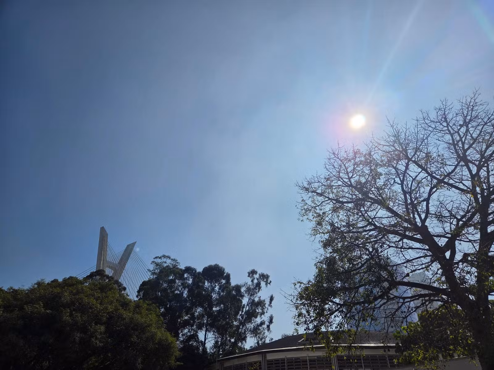 Feriado prolongado de 9 de Julho terá manhãs frias, tardes mais quentes e chance de chuva no domingo na cidade de SP