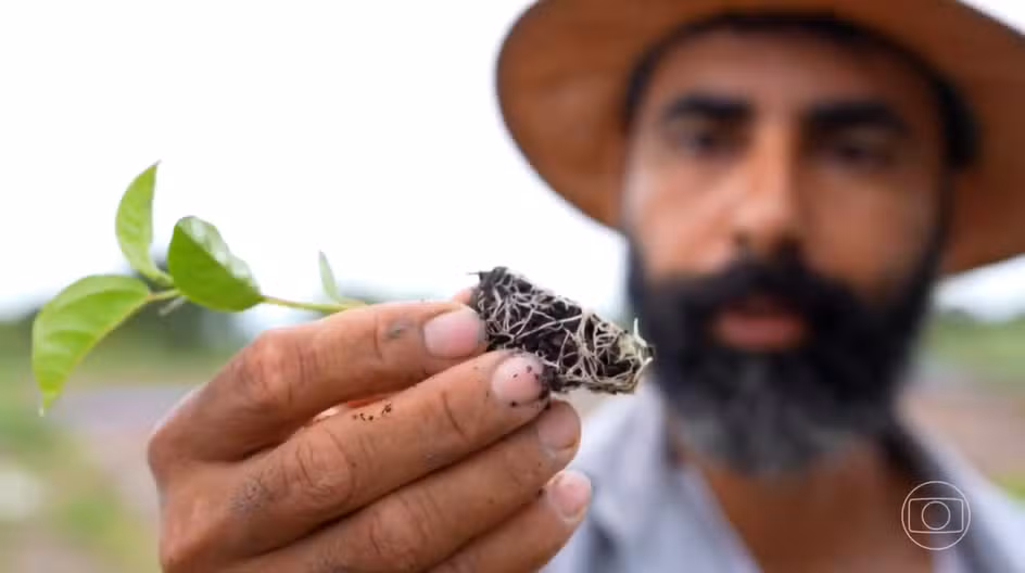 'Ajoelhei e pedi a Deus que me desse água': como a irrigação transformou 'corredor da miséria' em Goiás em polo de frutas