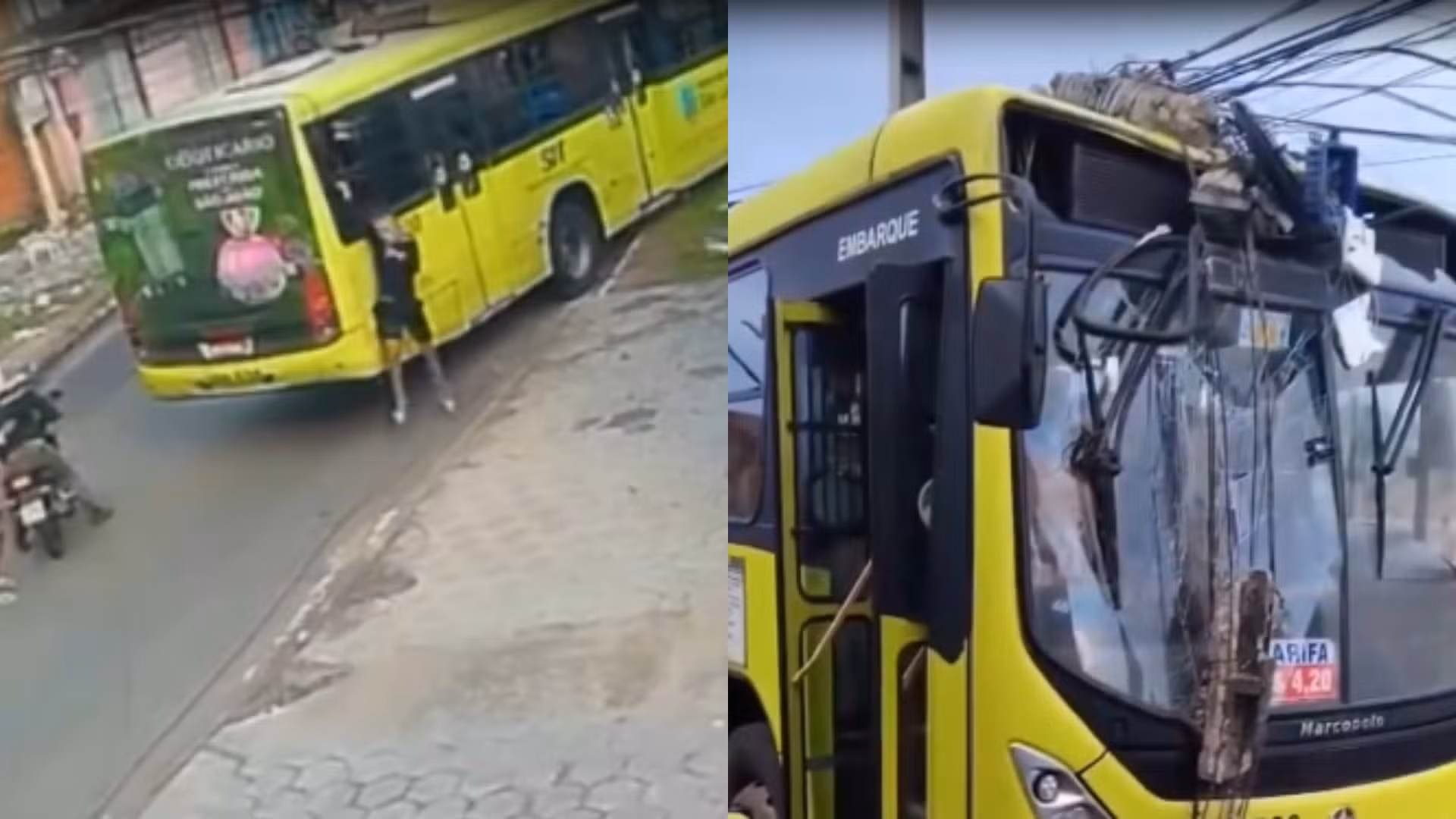 Criminosos assaltam ônibus, tentam esfaquear motorista e coletivo bate em poste na Estrada da Mata, em São Luís